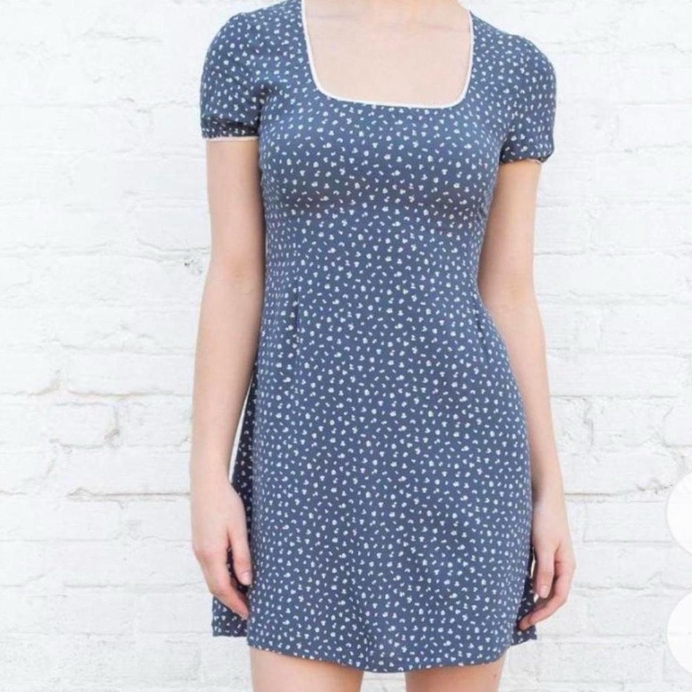 Brandy Melville Cassandra Dress